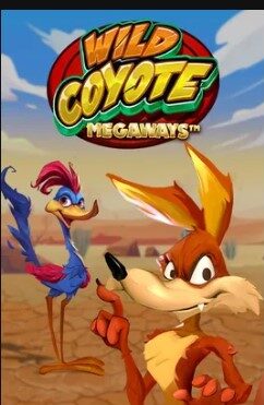 Wild Coyote
